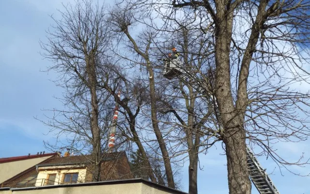 Hasiče v Brně a okolí zaměstnal silný vítr. Řešili desítky událostí