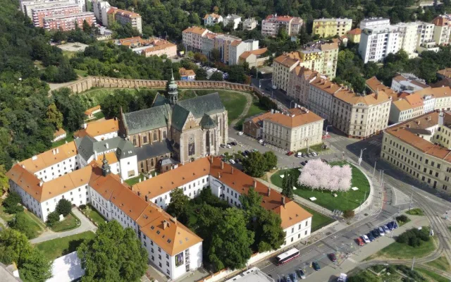 rejčka
