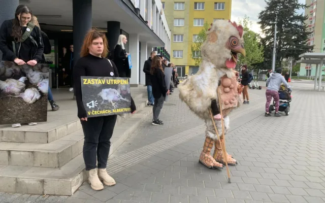VIDEO: Aktivisté protestují před brněnským supermarketem. Chovejte kuřata v lepších podmínkách, požadují