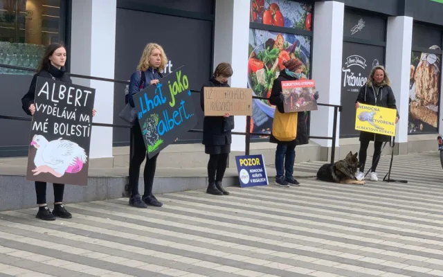 VIDEO: Aktivisté protestují před brněnským supermarketem. Chovejte kuřata v lepších podmínkách, požadují