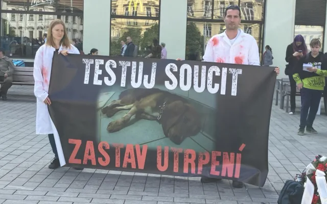Aktivisté v Brně protestovali proti pokusům na zvířatech. Kolemjdoucí na ně útočně pokřikovali