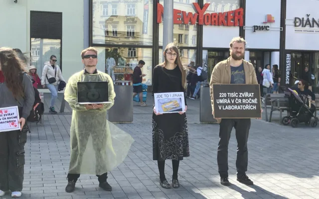 Aktivisté v Brně protestovali proti pokusům na zvířatech. Kolemjdoucí na ně útočně pokřikovali