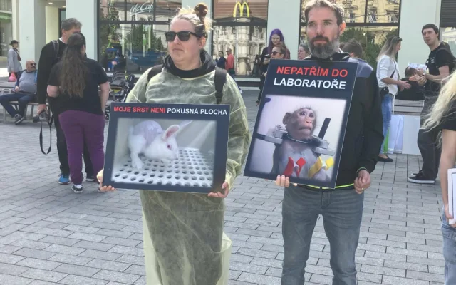 Aktivisté v Brně protestovali proti pokusům na zvířatech. Kolemjdoucí na ně útočně pokřikovali