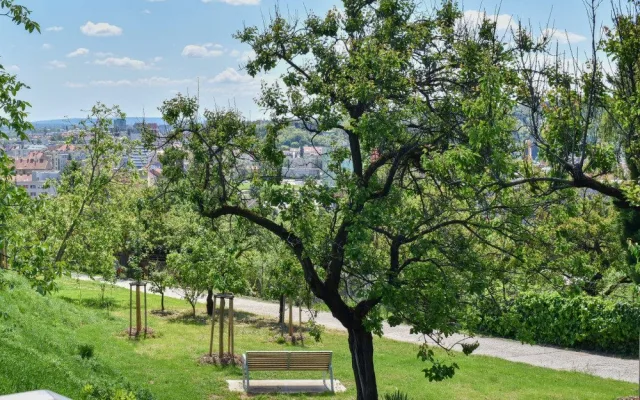 Park s vyhlídkou na Žlutém kopci nad starobrněnským pivovarem se otevřel veřejnosti