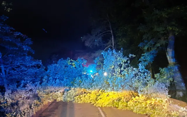 Strom spadl na autobus a uvěznil řidičku za volantem. Skončila v nemocnici