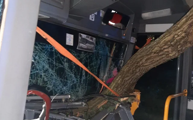 Strom spadl na autobus a uvěznil řidičku za volantem. Skončila v nemocnici