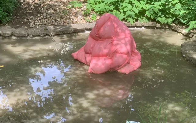 Peřina, potápěč nebo těstovina. V brněnské botanické zahradě vystavují sochy studenti umění