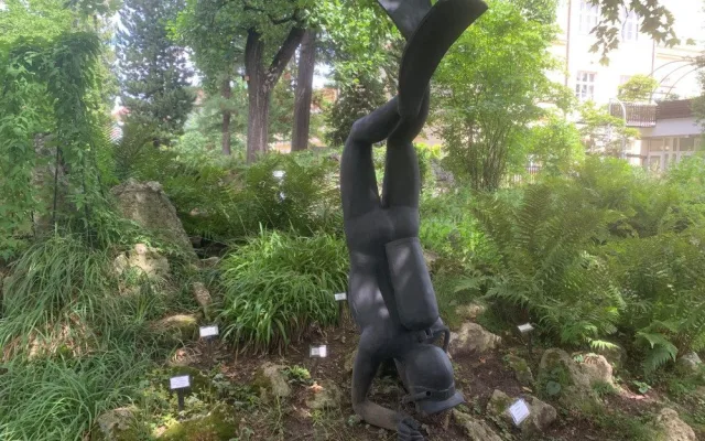 Peřina, potápěč nebo těstovina. V brněnské botanické zahradě vystavují sochy studenti umění
