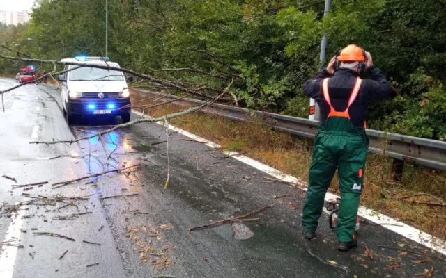 Větev spadla těsně vedle mladé ženy s kočárkem. Nechoďte do lesů ani parků, varují strážníci
