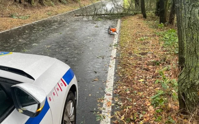 Větev spadla těsně vedle mladé ženy s kočárkem. Nechoďte do lesů ani parků, varují strážníci
