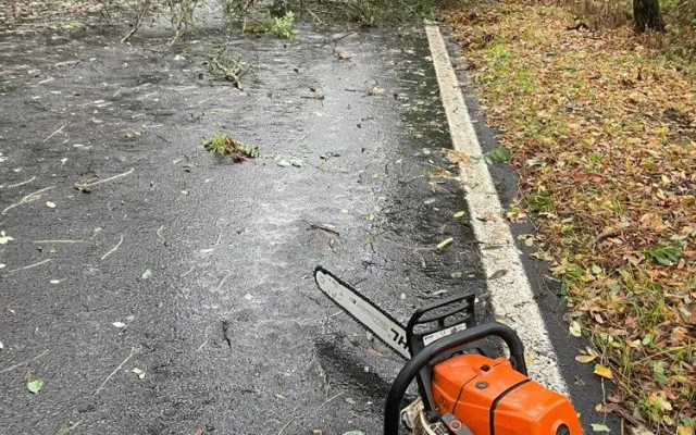 Větev spadla těsně vedle mladé ženy s kočárkem. Nechoďte do lesů ani parků, varují strážníci