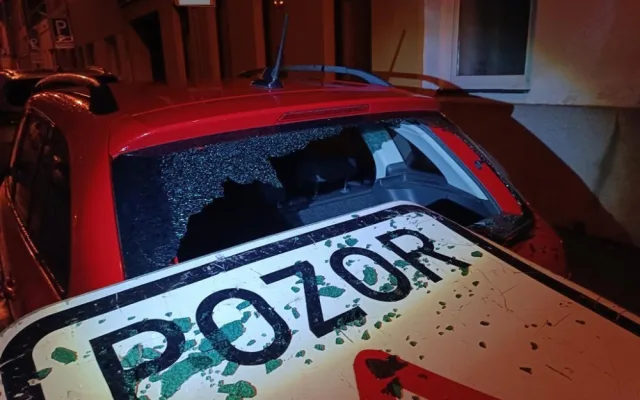 Vyvrácené stromy a polámané větve poničily auta v Brně