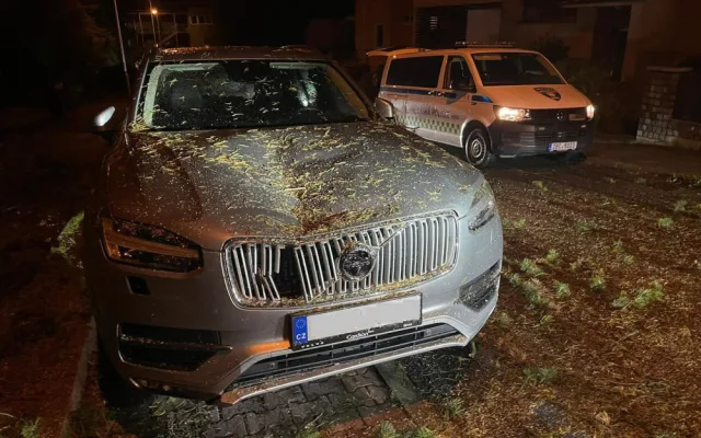 Vyvrácené stromy a polámané větve poničily auta v Brně