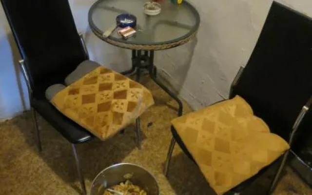 Plíseň, myší trus a mrtví hlodavci v kuchyni. Inspektoři zavřeli restauraci v centru Brna