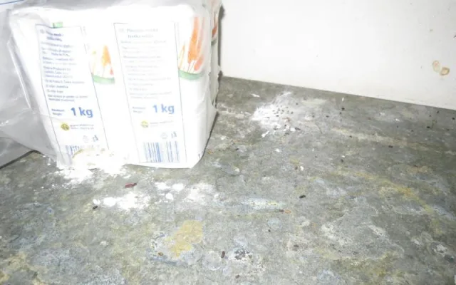 Plíseň, myší trus a mrtví hlodavci v kuchyni. Inspektoři zavřeli restauraci v centru Brna