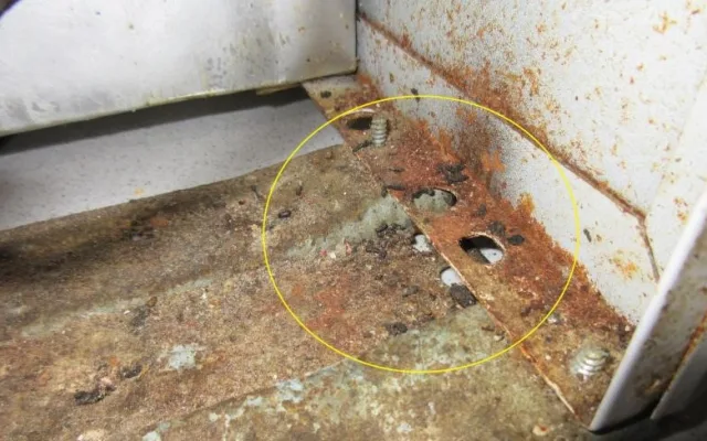 Potravináři podruhé v tomto měsíci zavřeli brněnskou restauraci. Povalovaly se tam mrtvé myši