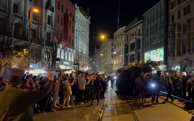 VIDEO: Do Brna dorazil vánoční strom. Stopadesátiletou jedli přivezli na koňském povoze