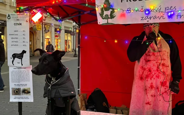 VIDEO: Kapři také cítí bolest, hlásají aktivisté v Brně. Od zabíjení ryb odrazují fiktivním prodejem vánočních psů