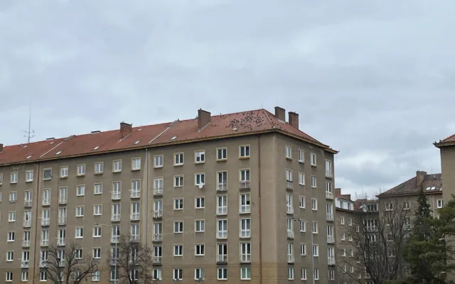 Na střeše brněnského magistrátu se zabydlela desítka ptáků. Holubník pomáhá regulovat jejich populaci