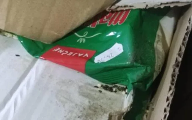 Myší bobky mezi rohlíky. Inspektoři zavřeli samoobsluhu v Brně