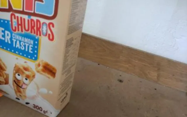 Myší bobky mezi rohlíky. Inspektoři zavřeli samoobsluhu v Brně