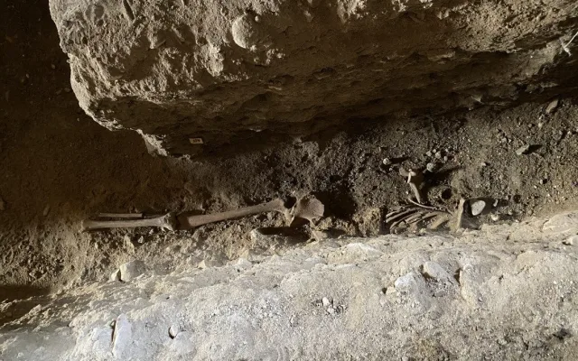 Klášter na Brněnsku vydal cenné poklady. Archeologové v Rosa Coeli našli historickou dlažbu i šperky
