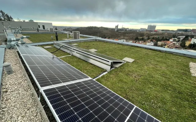 Zelená střecha téměř zadarmo! GreenTop vyřídí dotaci i realizaci za Vás! Úspora vody, lepší klima a finanční podpora