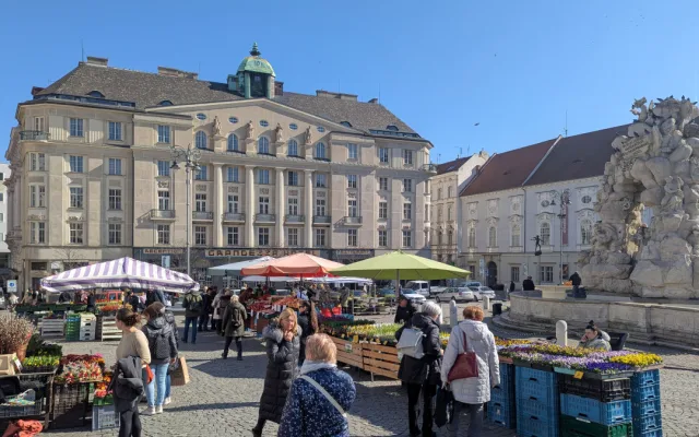 Brněnský Zelný trh s přicházejícím jarem ožívá. Lidé tam teď nakoupí bylinky nebo sazenice
