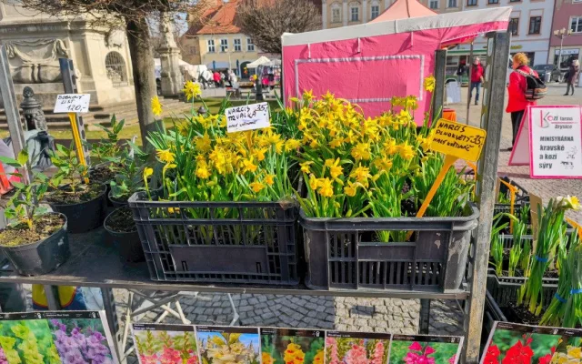 Trhy ve Vyškově zahájily novou sezónu. Centrum města jimi ožije každou druhou středu