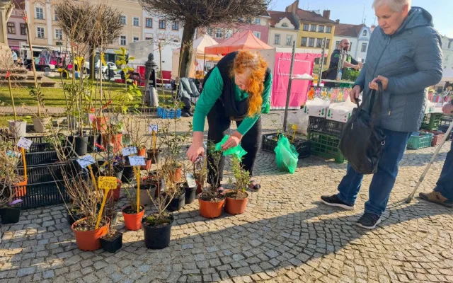 Trhy ve Vyškově zahájily novou sezónu. Centrum města jimi ožije každou druhou středu