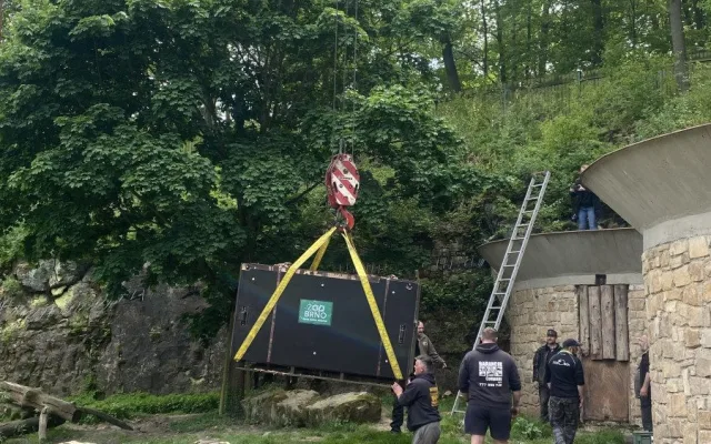 Brněnskou medvědici Irinu převezli na sever Čech, málem rozdrápala bednu