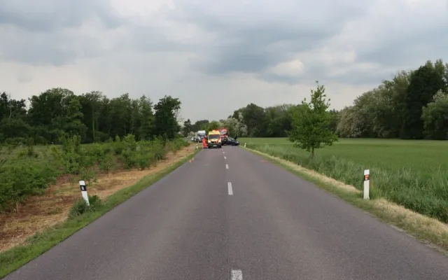 Řidiči na Znojemsku skočil za krk rozdováděný pes. V úleku havaroval
