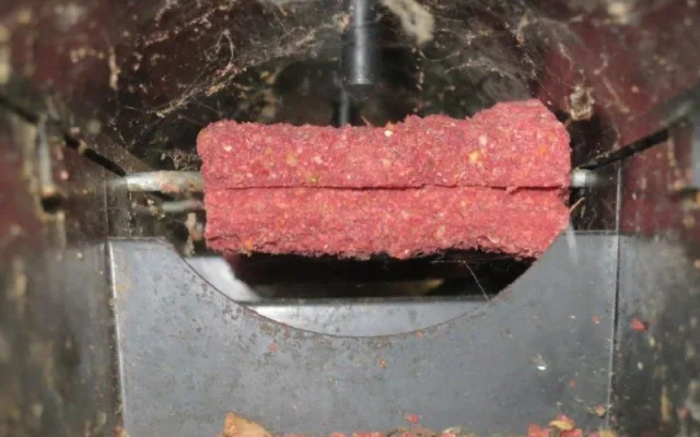 Špína a myší bobky. Inspektoři zavřeli restauraci v Bučovicích