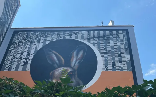 VIDEO: Největší mural v Brně. Centrum města zdobí vlk a zajíc