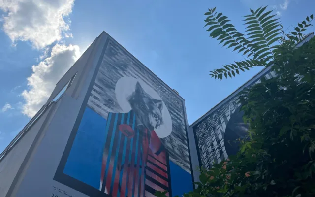 VIDEO: Největší mural v Brně. Centrum města zdobí vlk a zajíc
