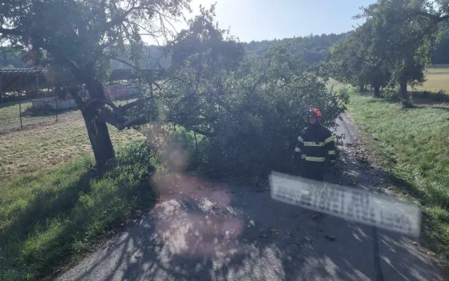 Vítr na jihu Moravy lámal stromy a ničil střechy. Hasiči hlásí téměř šedesát zásahů
