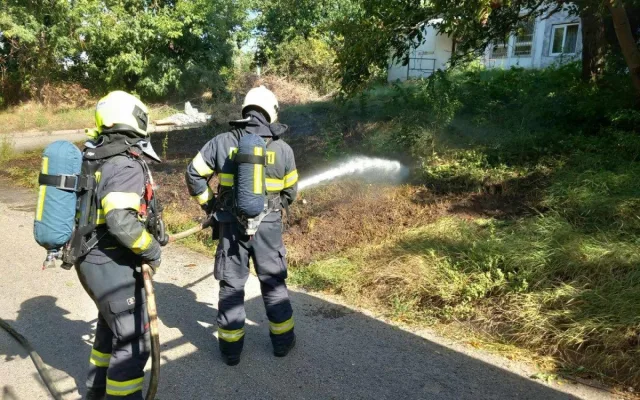 Vítr na jihu Moravy lámal stromy a ničil střechy. Hasiči hlásí téměř šedesát zásahů