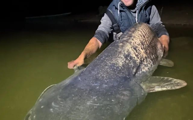 Rybář Vágner ulovil na Vranově dalšího macka, tentokrát měří hned 255 centimetrů