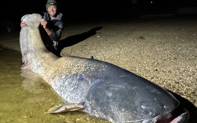 Rybář Vágner ulovil na Vranově dalšího macka, tentokrát měří hned 255 centimetrů