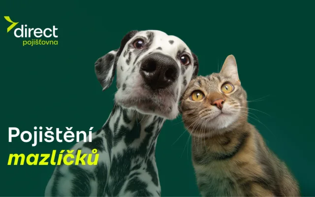 Pes spadl z gauče. Účet od veterináře vás překvapí