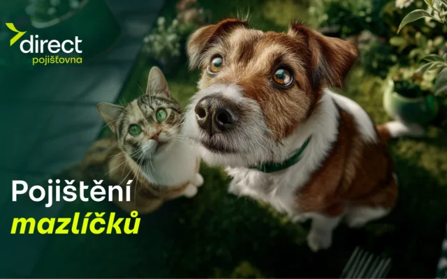 Pes spadl z gauče. Účet od veterináře vás překvapí