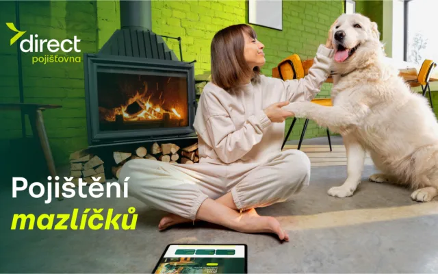 Pes spadl z gauče. Účet od veterináře vás překvapí