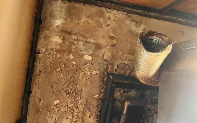 Inspektoři zavřeli pekárnu v Králově Poli. Našli trus hlodavců i plíseň