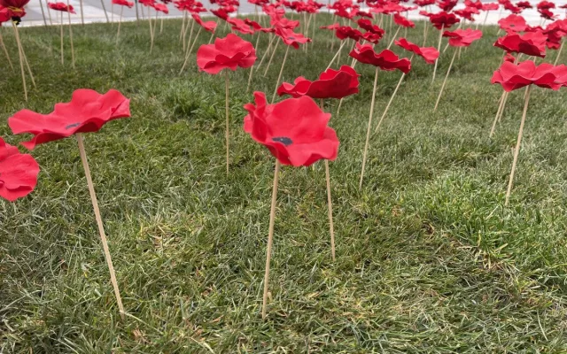Lidé na Moravském náměstí v Brně zasadili vlčí máky jako symbol úcty k válečným veteránům