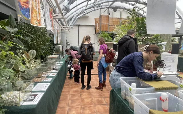 V Brně ožívá botanická zahrada. Začíná výstava plná papoušků, morčat, králíků i plazů