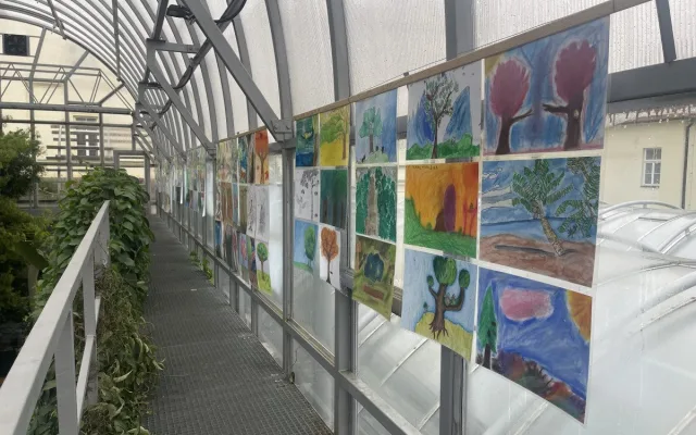 V Brně ožívá botanická zahrada. Začíná výstava plná papoušků, morčat, králíků i plazů