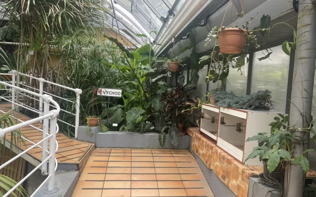 V Brně ožívá botanická zahrada. Začíná výstava plná papoušků, morčat, králíků i plazů