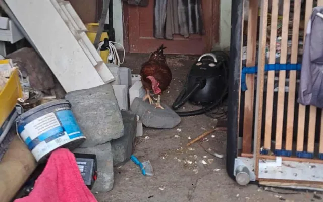 Požár zničil zázemí spolku, který se stará o děti v těžké situaci. Pomoct má sbírka
