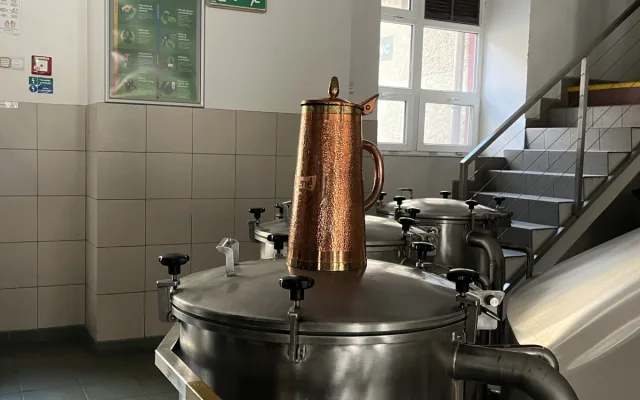 Brněnští sládci začali s výrobou zeleného piva. Lidé ho ochutnají o Velikonocích