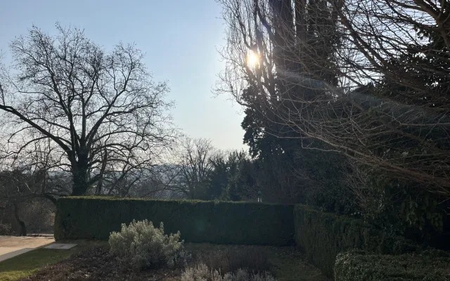 FOTO: V brněnské vile Tugendhat otevřeli kavárnu, lidé se občerství v garáži